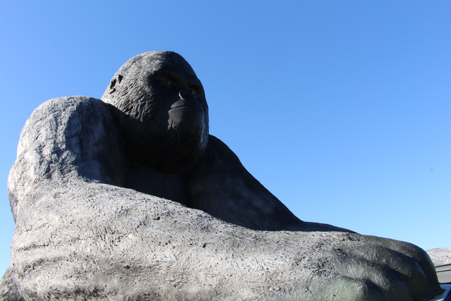 ゴリラガードギャランティ株式会社